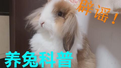2611753c991afce4ede1510b6257b37cb996dca0.jpg@480w_270h_1c