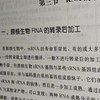 姑姑姑父