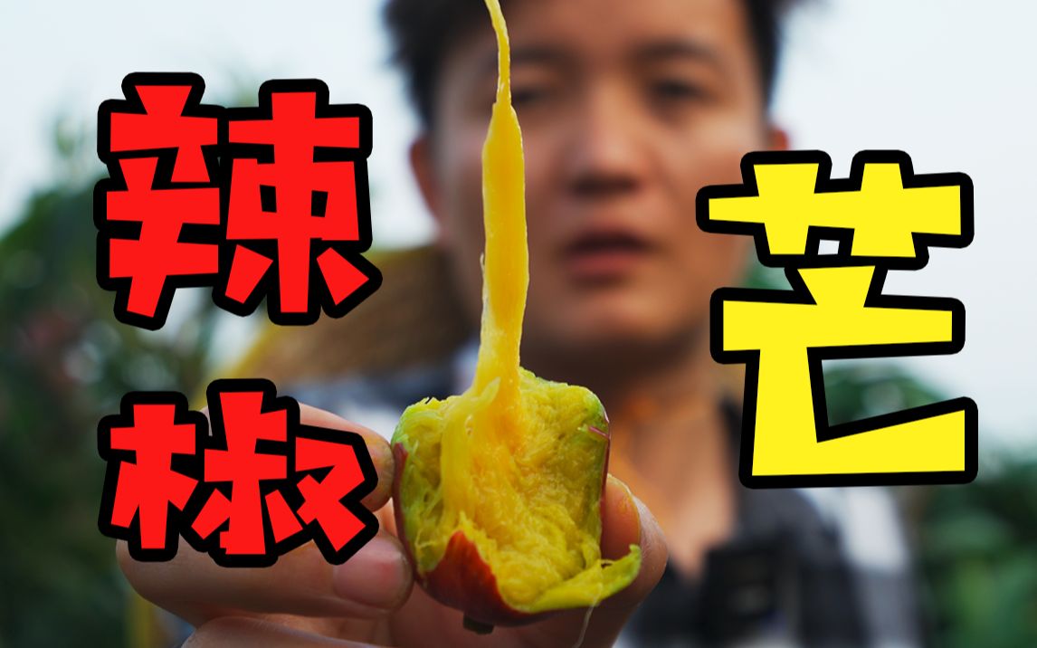 【水果猎人】“网红辣椒芒”是真宝贝还是智商税？