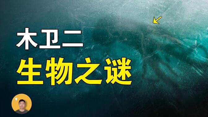 深度超过10万米，进入木卫二地下冰洋，会发现什么神奇物种？