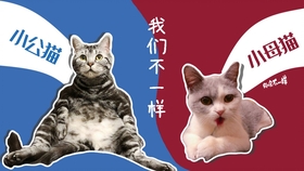 怎么拥有一只粘人的鹦鹉 2674b2ebe58f63099da2e345778fa6a30bf235ec.jpg@280w_158h_1c_100q.jpg