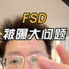 7张罚单不是FSD的上限，看你怎么玩流量了