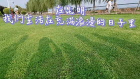 如何才能跑代驾 26ddd4891da570e3e7a88606b11920682c951561.jpg@280w_158h_1c_100q.jpg