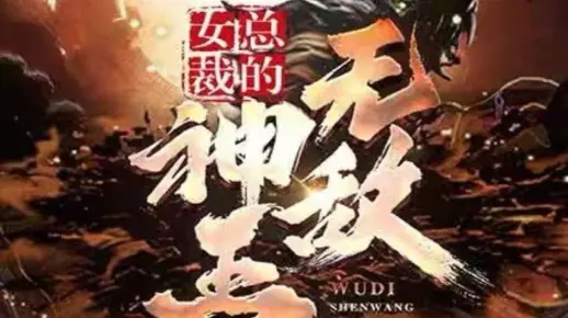 女总裁的无敌神王《完整版大结局》