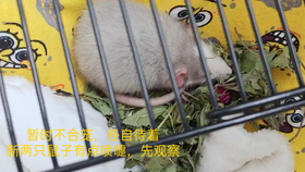 26edd1df32730d183e8c0925db58dea953e51c5f.png@280w_158h_1c_100q.jpg