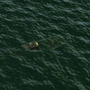 War Thunder - 真·隐形飞机