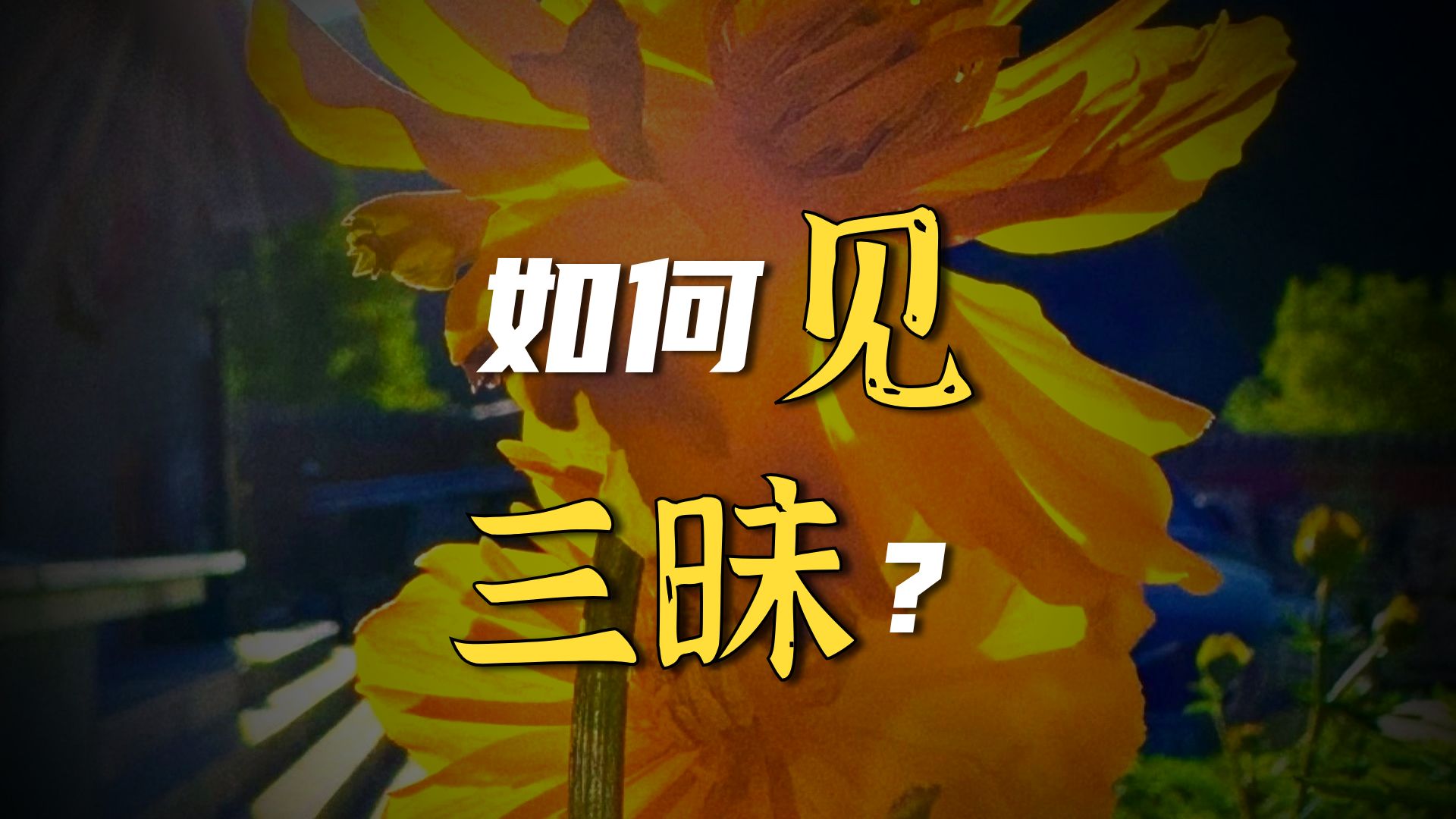 体佛法师开示：入三昧