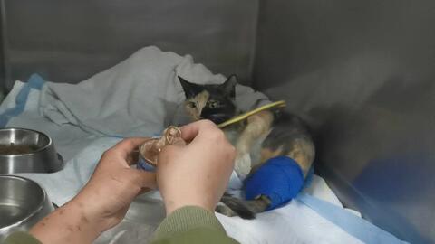 2726f21aabd63ece6f992d143be6dbb793109db1.jpg@480w_270h_1c