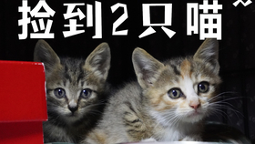 2736e69122ad016d5bb2df66f95f1a75c64fedbe.png@280w_158h_1c_100q.jpg
