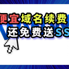 🖥️全球最便宜的域名续费方法，没有之一，还送免费SSL证书