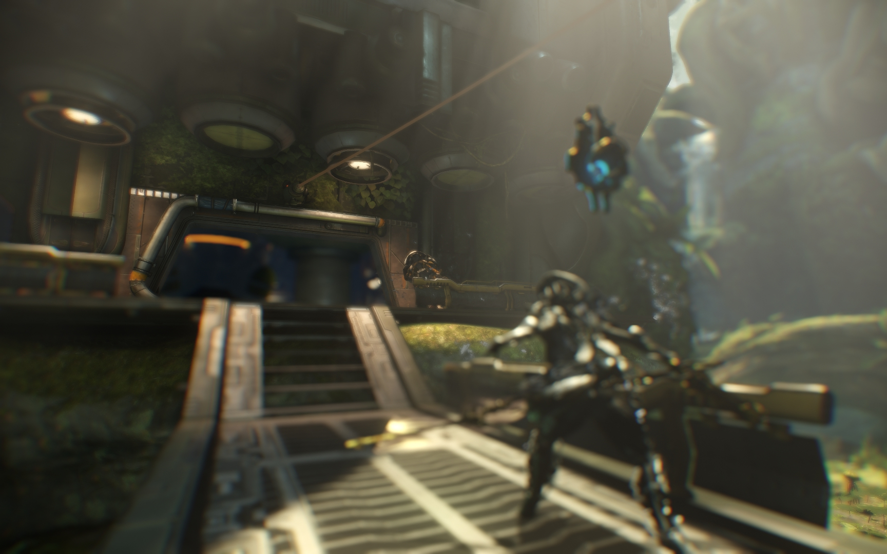 warframe/星际战甲 传毒毒妈实战