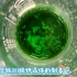延时摄影：超好看的三草酸合铁(Ⅲ)酸钾晶体制备✓#浙江大学本科生化学实验课#