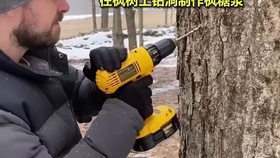 27560950eb9a2f21fe44596cb5d3dfa432598255.jpg@280w_158h_1c_100q.jpg