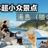 探秘熊本县超小众离岛--汤岛.因岛上猫比人多所以又被称为“猫岛”!
