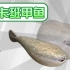 【梗百科】萨卡班甲鱼是啥梗？
