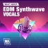 【W.A.Production EDM Synthwave Vocals】EDM Synthwave 风格采样包