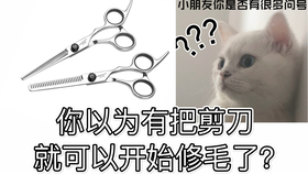 279874b55cb2ebfb0e8ecdafd92d729e01c13a3b.jpg@280w_158h_1c_100q.jpg