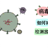 什么是PCR，病毒是如何被检测出来的