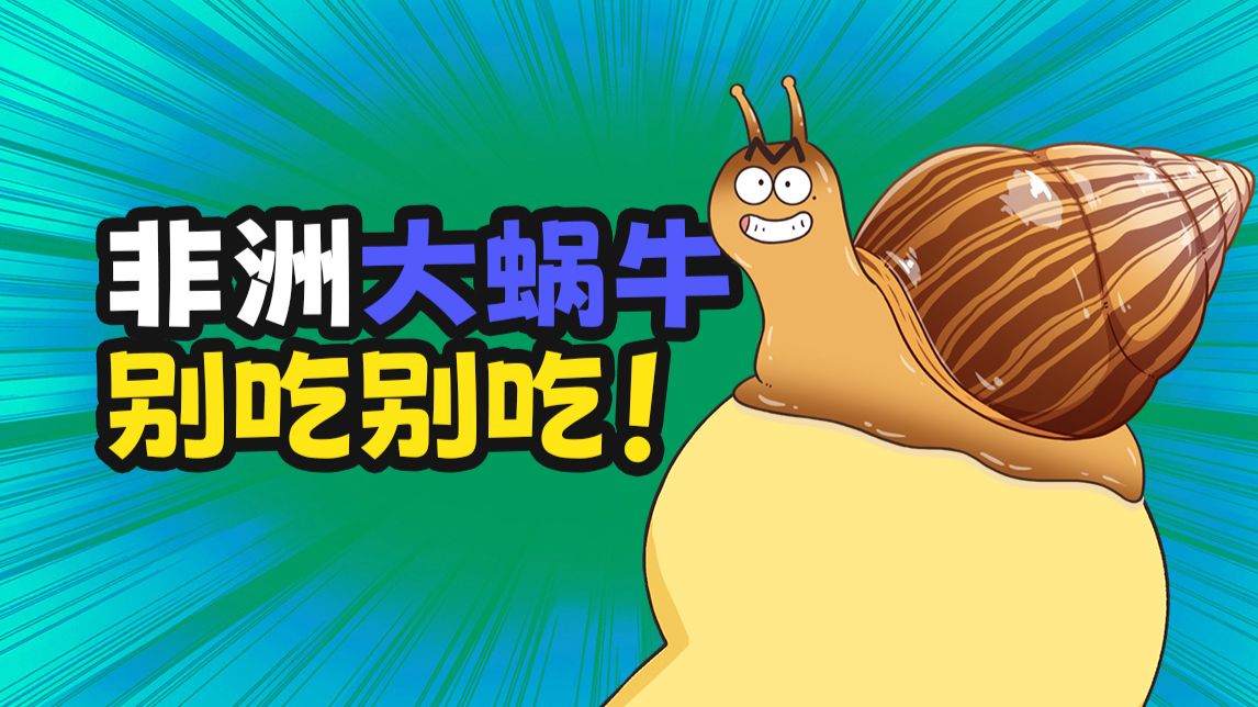 [Doomdos] - 我是不白吃 - 第1077话 - [1080p BILIBILI COM WEB-DL]