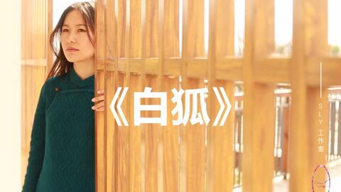 曲谱白狐_白狐陶笛曲谱(3)