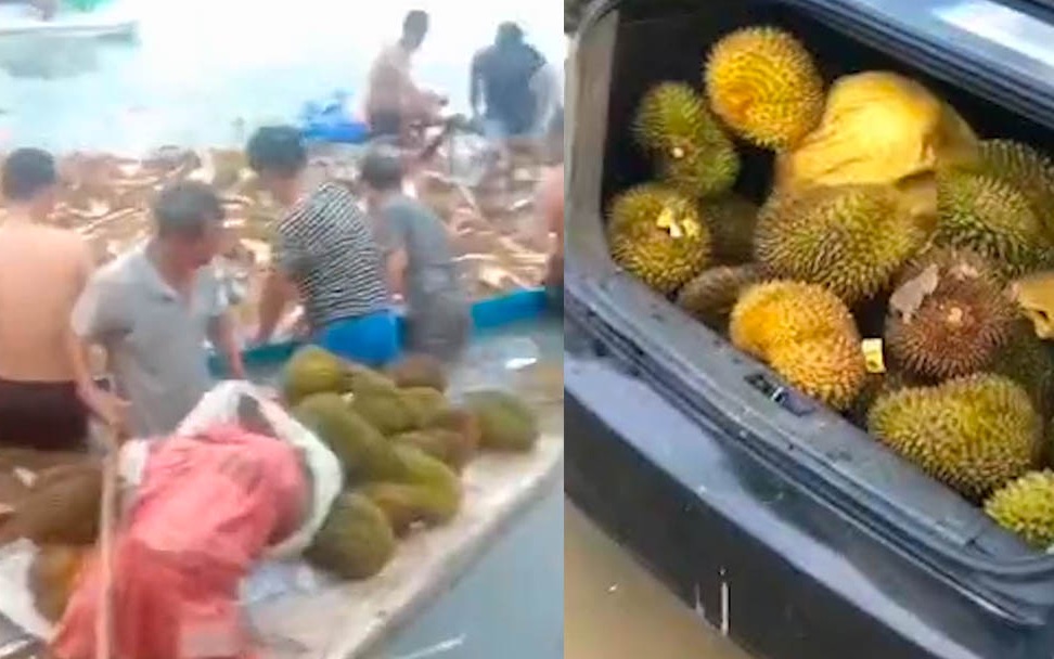 广西一运榴莲货船侧翻,村民蜂拥而至下海哄抢 吃后出现食物中毒……