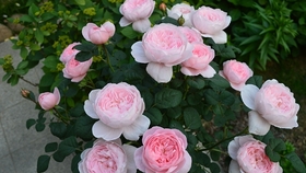 28156badb3cb0342a59e899746f468d6322c3e76.jpg@280w_158h_1c_100q.jpg