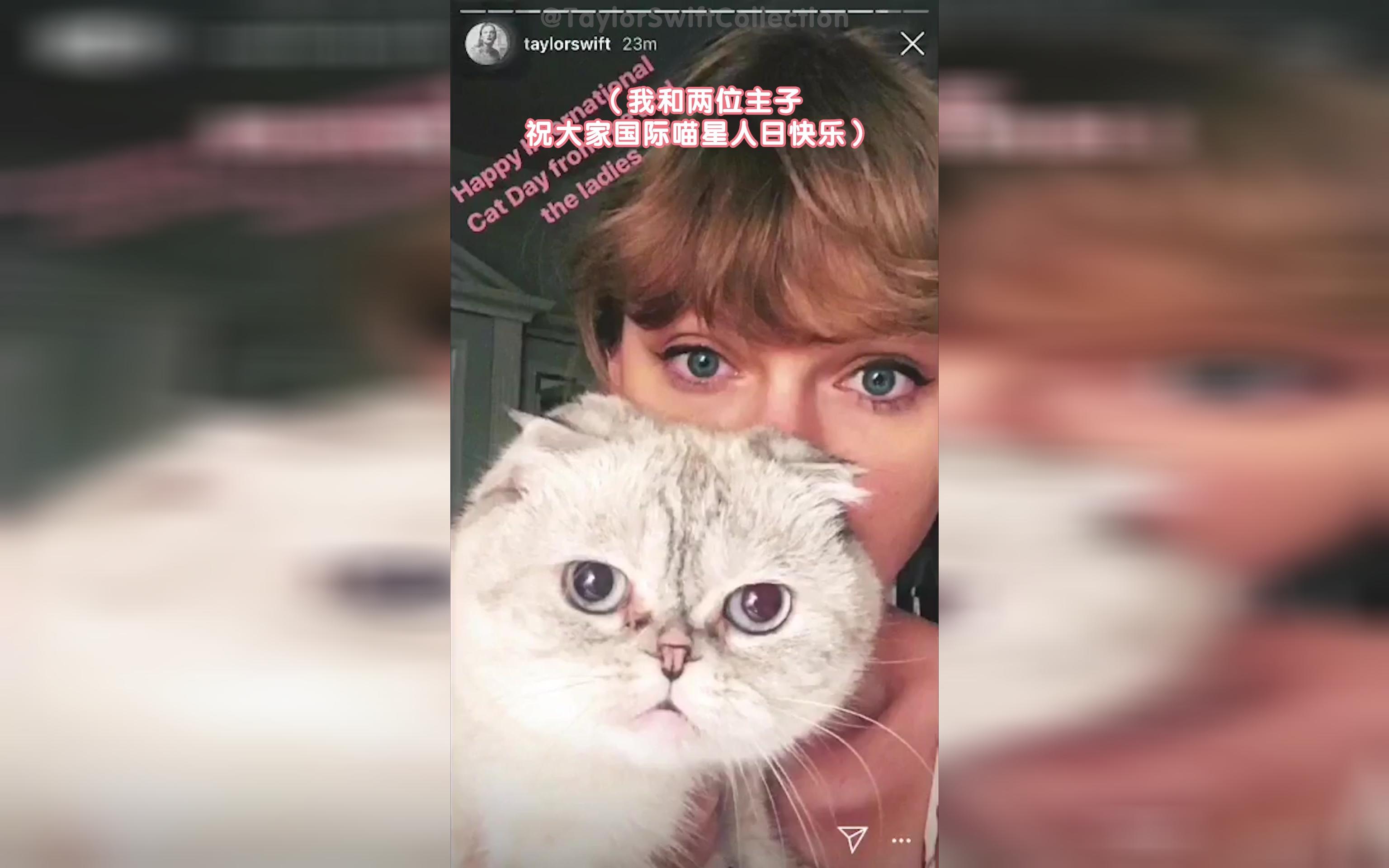 【Taylor Swift】霉霉国际猫咪日晒出一系列Mere和Olivia的视频