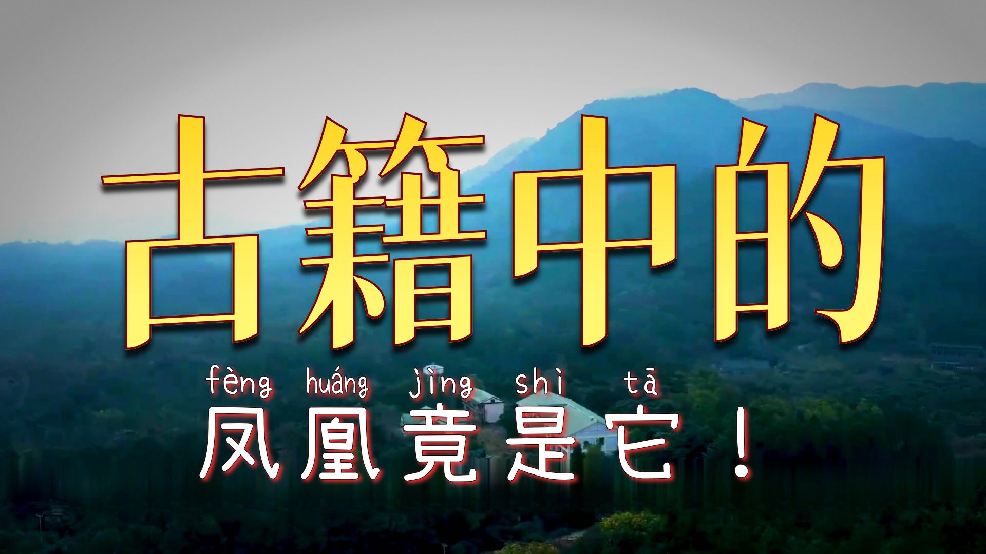 凤凰不仅曾经真实存在，而且还是广西曾经最出名的特产