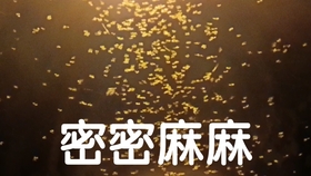 为什么会有地光 2844bc959d580870e7843c6229ad47e8f874de1a.jpg@280w_158h_1c_100q.jpg
