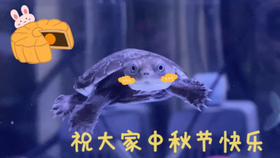 286ad8c20fcc699171a057e475e4f83afce00c1f.jpg@280w_158h_1c_100q.jpg