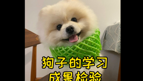 286d97112748a82a7d60f4bc66ab7bbe1378a436.jpg@280w_158h_1c_100q.jpg