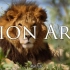 【纪录片】狮子方舟 Lion Ark (2013)
