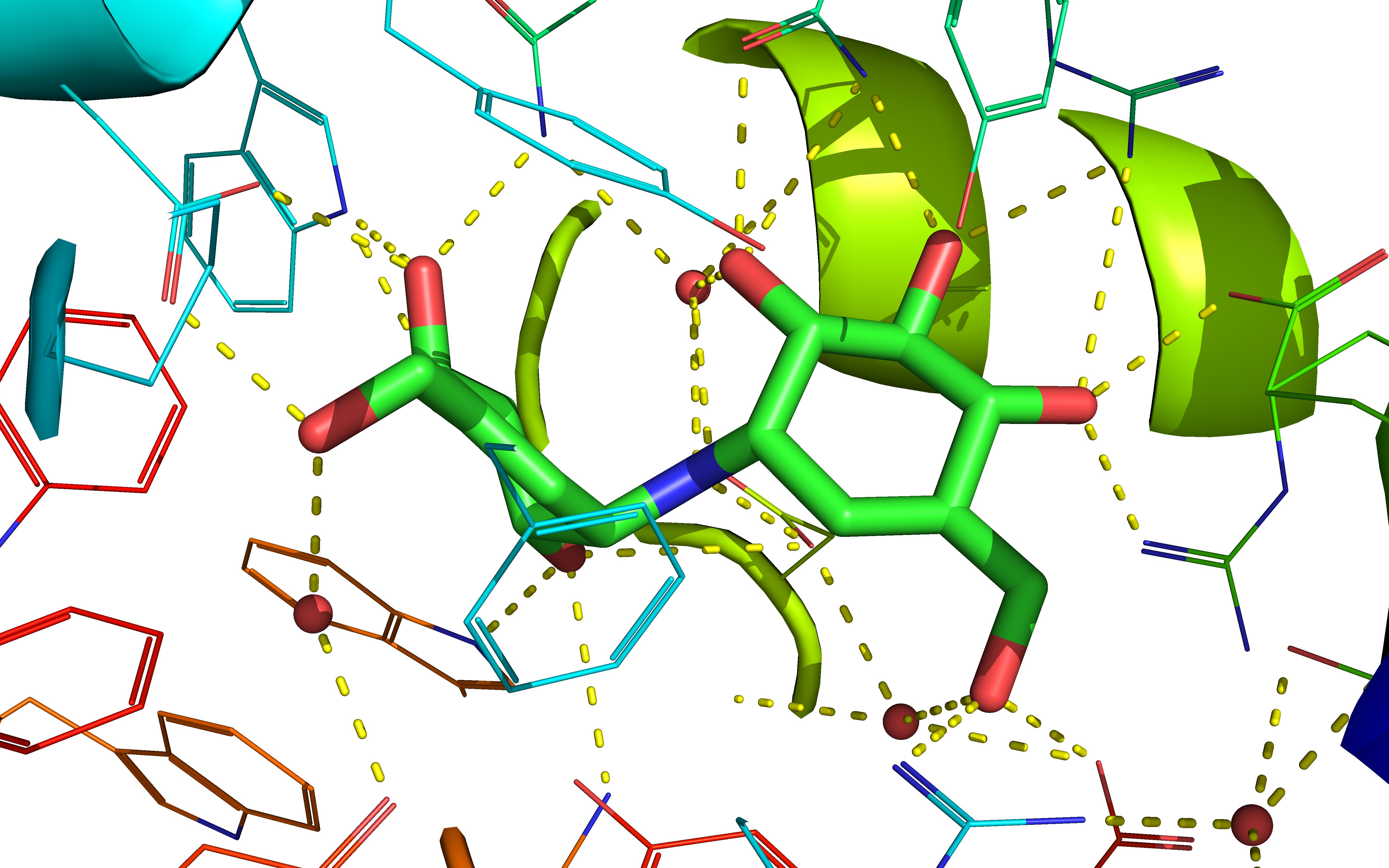 vina批量分子对接—1