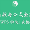 WPS技巧-1.1-表格技巧-函数与格式全集366P