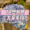 TA想斩断三方关系吗？第一组：00:50、第二组：04:49、第三组