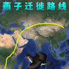 都知道燕子去南方过冬，你知道这个南方在哪里吗？结果令人吃惊
