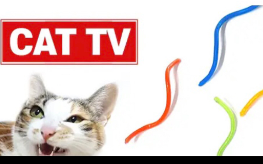 给猫看的视频 超有趣的有声鬼畜绳子动画  全自动逗猫 解放铲屎官双手的养猫好物