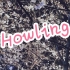 【wota艺】Howling【海浪×天毅】