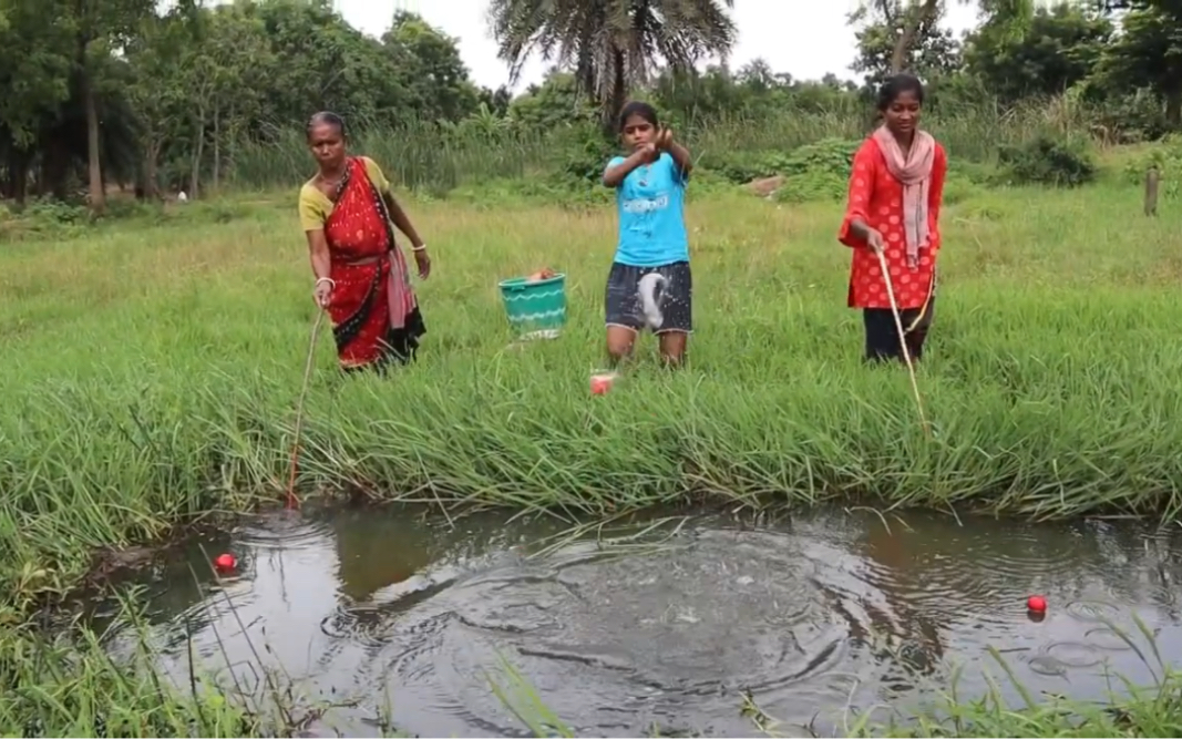 Is wild fishing really that easy?