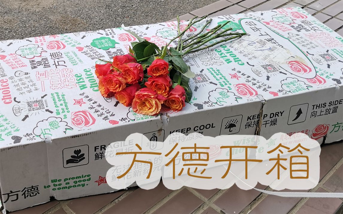 【大叔说花】花店日常vlog70/方德玫瑰非洲菊到货开箱视频/吐槽一下