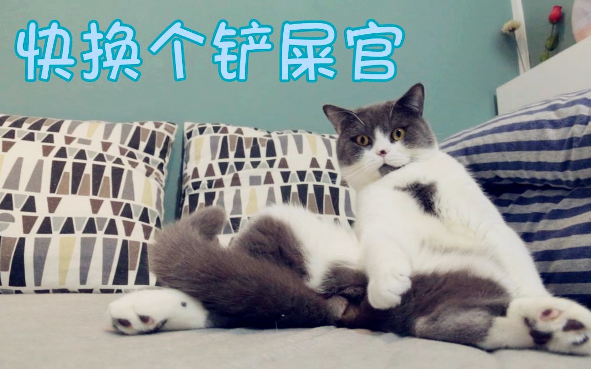 猫奴都是恋脚狂魔!强撩石榴![猫奴的日常]哔哩哔哩bilibili