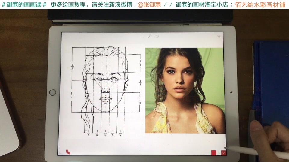 【画人纯干货】新新手学画人物入门必看:人像面部比例,结构,五官结构
