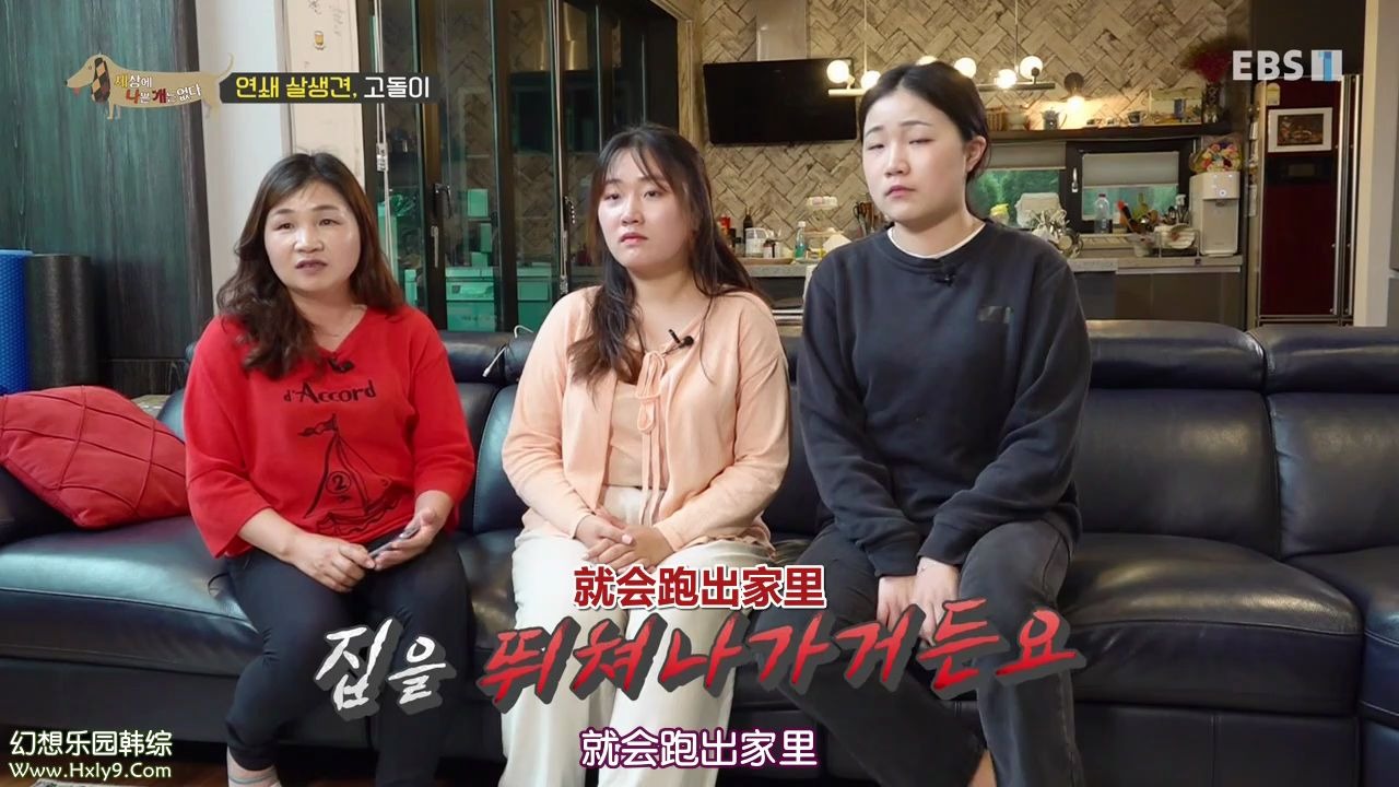 [影音] 200724 EBS 世界上沒有壞狗狗 E165 中字