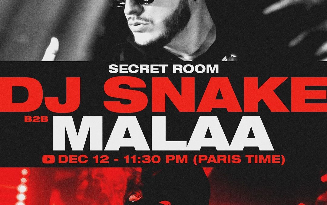 蛇叔djsnakeb2b麻辣malaa最新线上演出现场首播