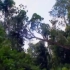 【看动画学地理】西半球的国家06巴西热带雨林的开发和保护