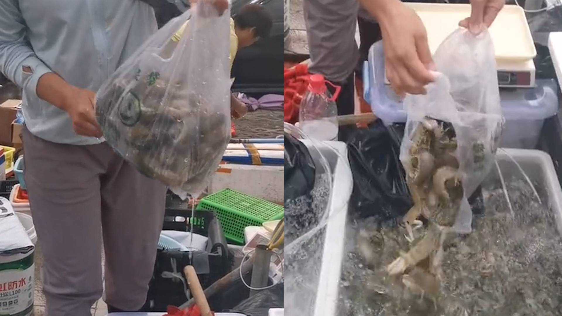 女子惠州买6.7斤皮皮虾，复称仅3.8斤老板生气：要不要就是6.7斤