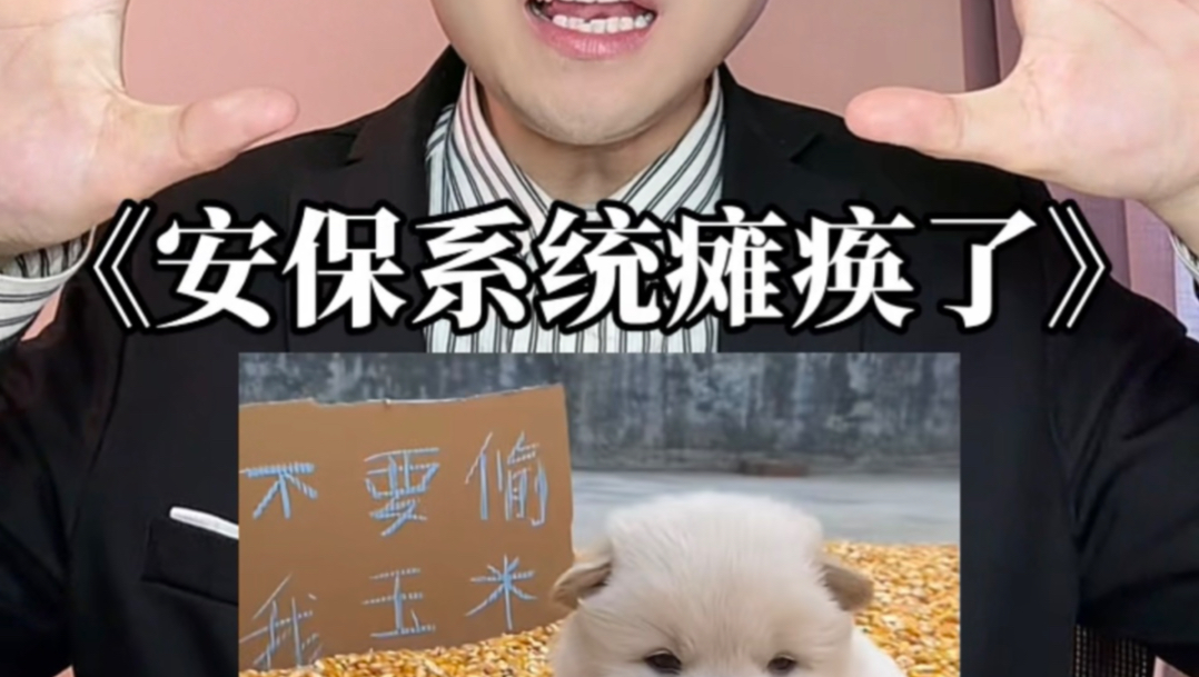 《安保系统瘫痪啦》抽象配音来啦！