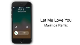 iphone马林巴琴简谱_马林巴琴(5)