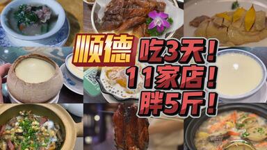 3天胖5斤！吃遍顺德11家店！ 烧鹅煲仔饭鲜<em class="keyword">粥火锅</em>鱼虾鲍鱼<em class="keyword">猪杂</em>双皮奶..... 顺德果然是美食者的天堂！