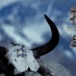 【1080P】纪录片《牦牛》讲述牦牛与藏人的生活【CCTV9-HD】